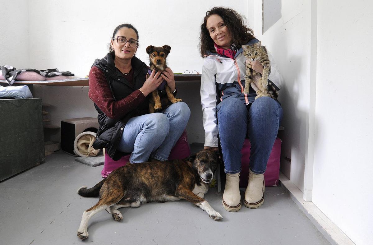 Belén Miranda y Chus Carracedo, con tres de los animales que tienen en su refugio. | BERNABÉ/JAVIER LALÍN