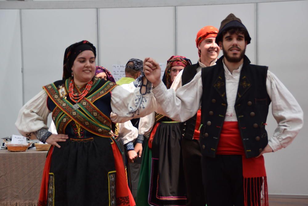 Feria ganadera de San Miguel en Carbajales de Alba