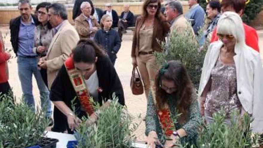 Segorbe promociona su aceite con la feria agrícola de la oliva