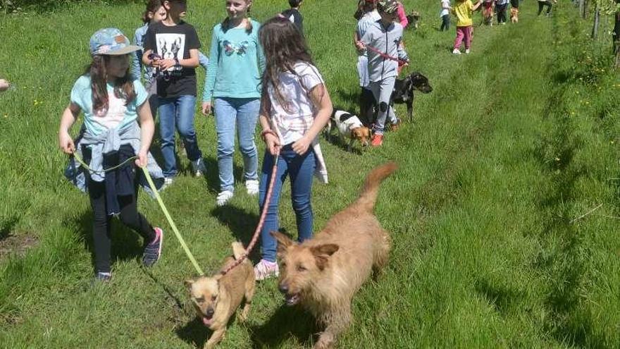 Los niños de Oroso, durante el paseo con los perros. // Noé Parga