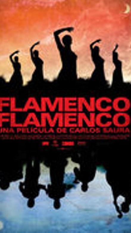 Flamenco, Flamenco