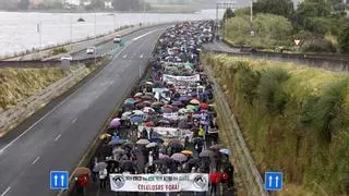 Cientos de manifestantes claman en Pontevedra contra las celulosas: "Ence y Altri son la misma lucha"