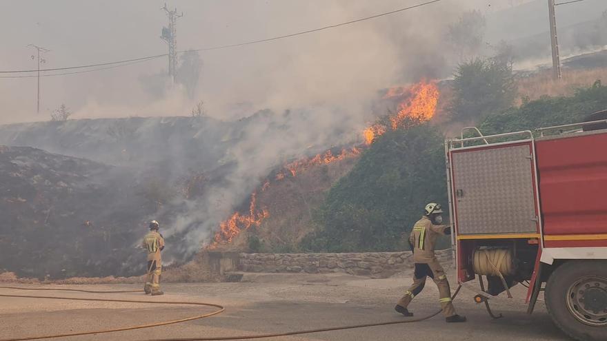 El incendio forestal se iniciaba ayer en Ateca