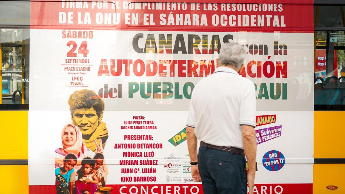 Pedro Quevedo observando la Campaña Sáhara