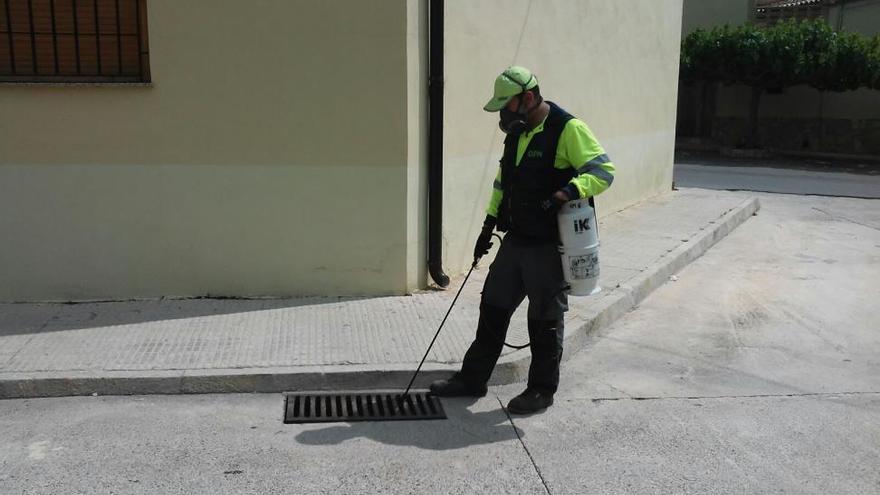 Vall d&#039;Alba inicia la lucha antimosquitos cara al verano