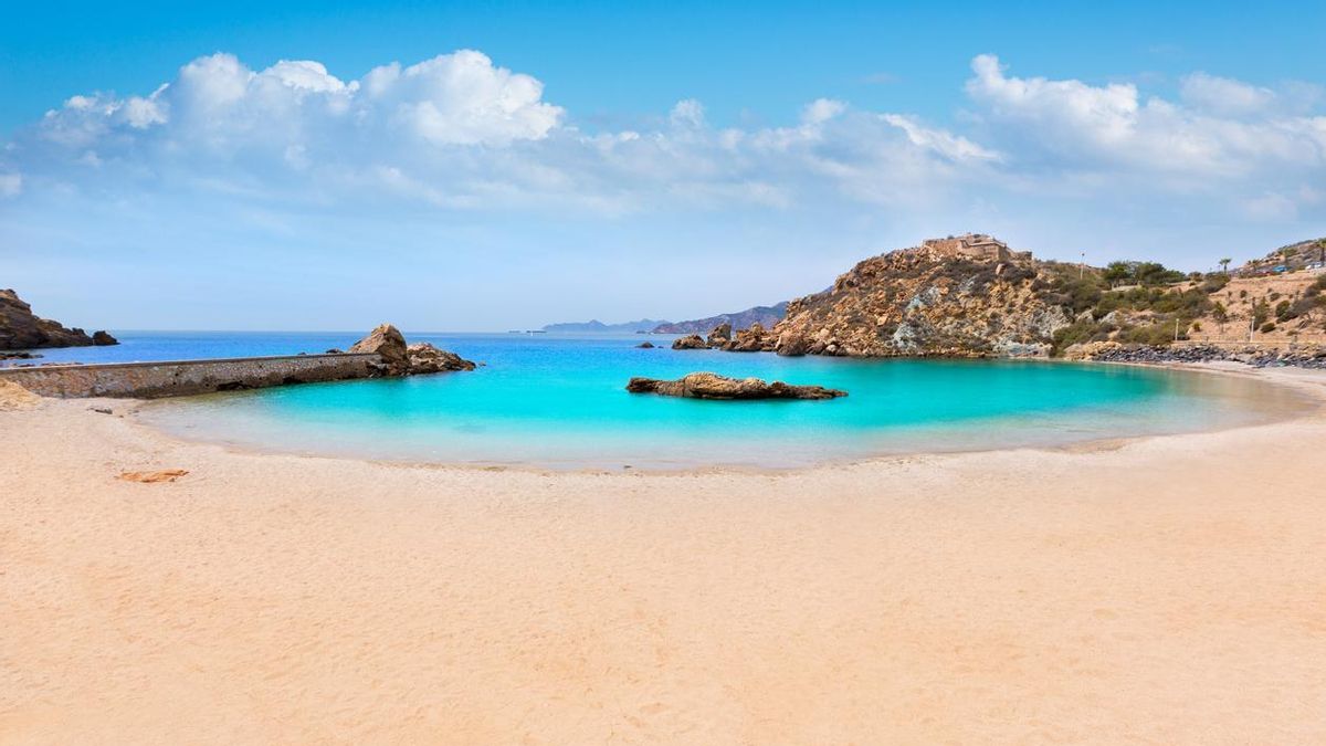 Cala Cortina, un paraiso subtropical a una paseo del centro