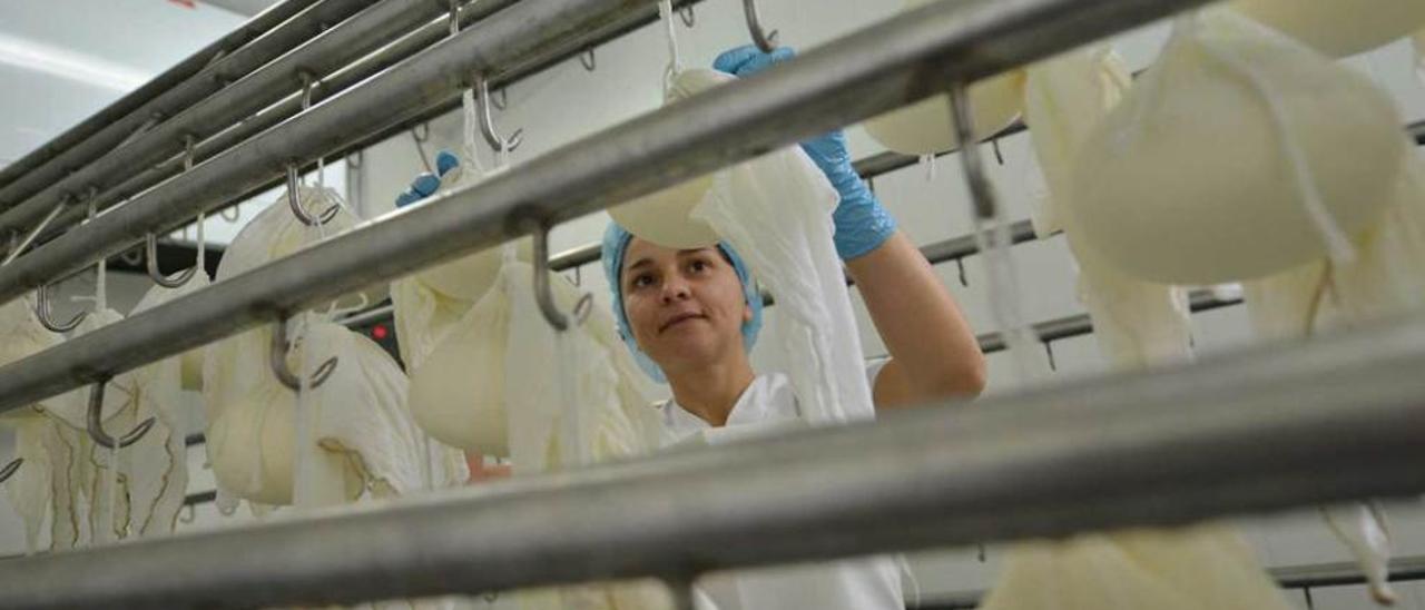 Lucía Méndez, colgando quesos de la variedad trapu blancu.