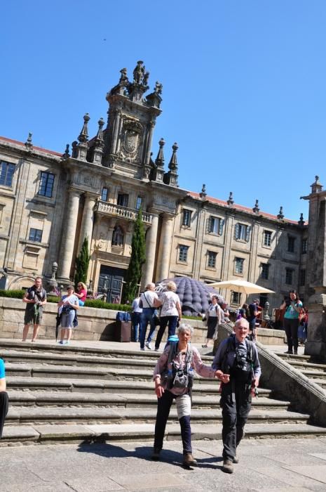 Canarios en el Camino de Santiago