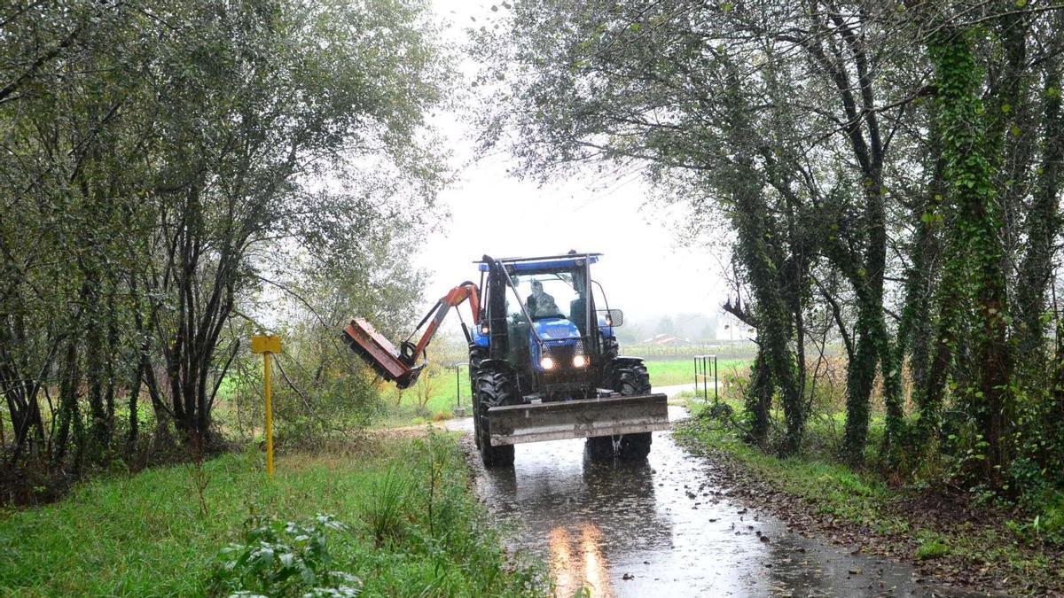Un tractor realiza trabajos de desbroce y limpieza de cunetas.