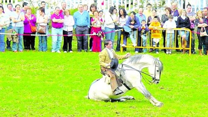 Exhibición de doma en el recinto ferial de Belmonte el año pasado. | lne