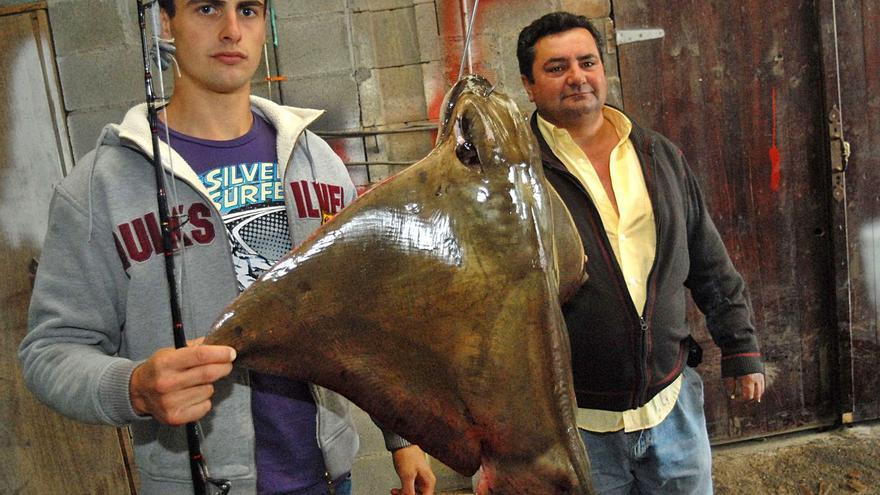 Los bancos de "ouxas" se extienden por toda la ría para desesperación de los mariscadores - Vimarsana News