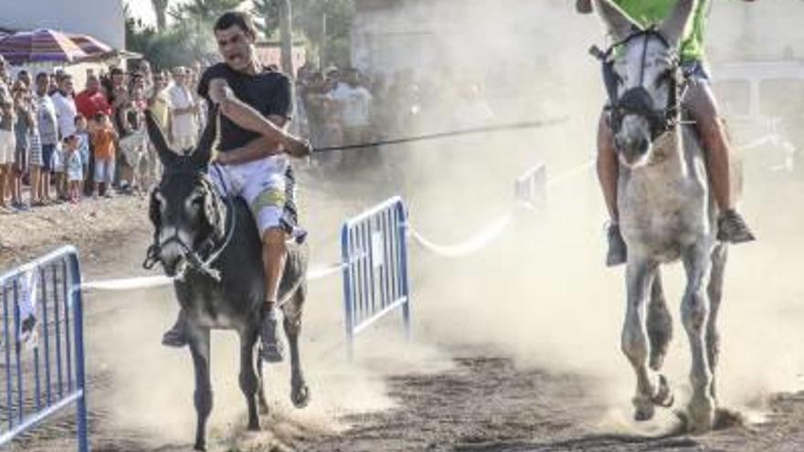 Carrera de burros realizada en 2014.