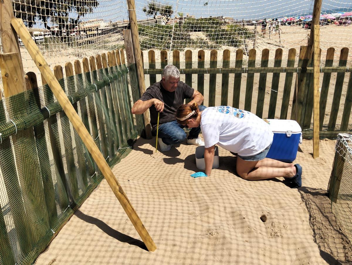 Puesto base de nidificación de tortugas ubicado en las dunas del Parque Municipal Natural del Molino del Agua
