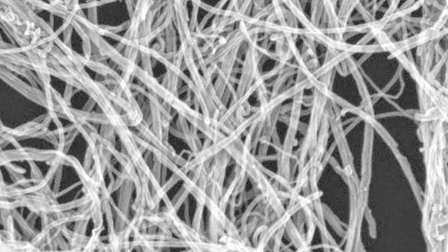 Una mostra de nanotubs de carboni vista en un microscopi electrònic