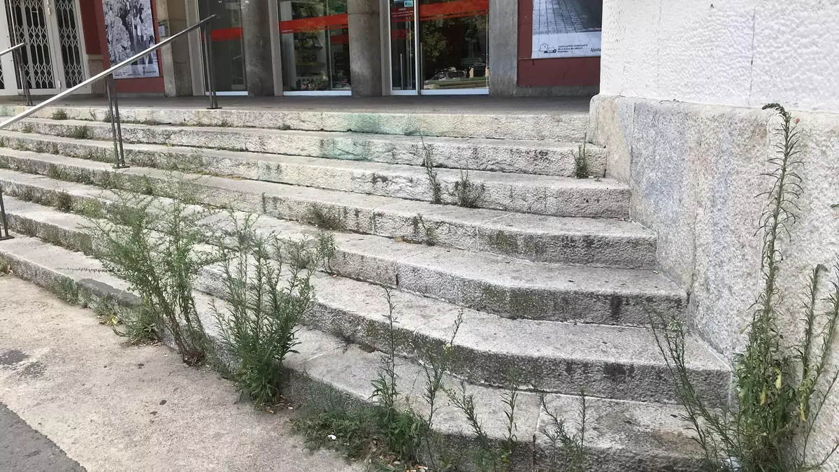 Les herbes es "mengen" les escales del mercat municipal del Lleó de Girona