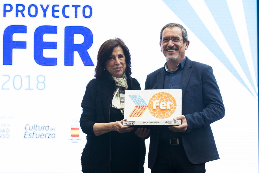 Juan Roig presenta el proyecto FER