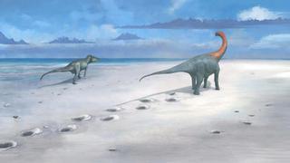 Descubren en Gran Bretaña una autopista de los dinosaurios sorprendente para los expertos