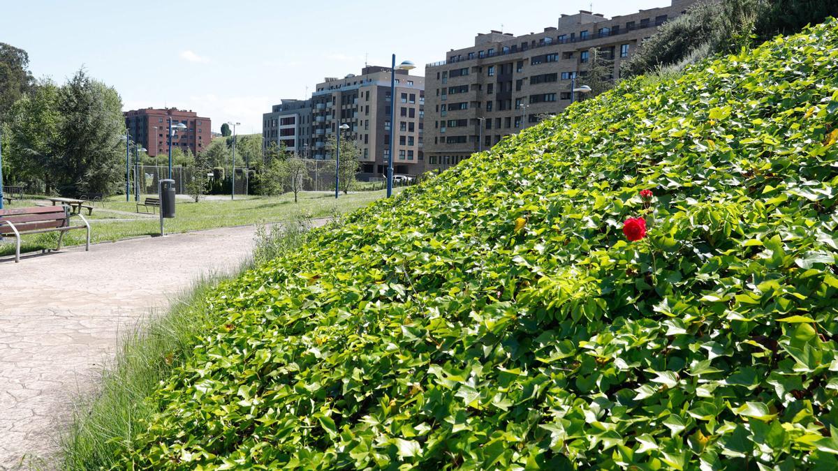 Una imagen del barrio de La Grandiella.