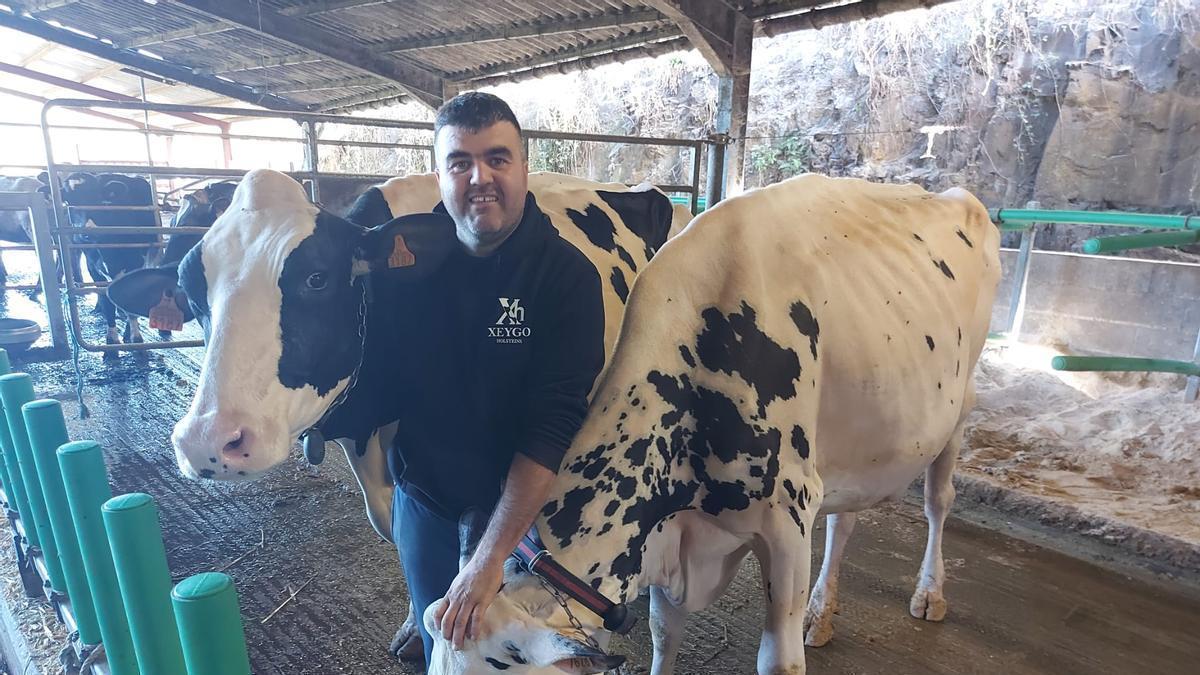 VÍDEO: Así es la ganadería Xeygo Holsteins, de Samagán (Castropol)