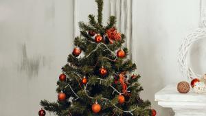 Los mejores árboles para decorar tu hogar esta Navidad (y que seguro se agotarán)