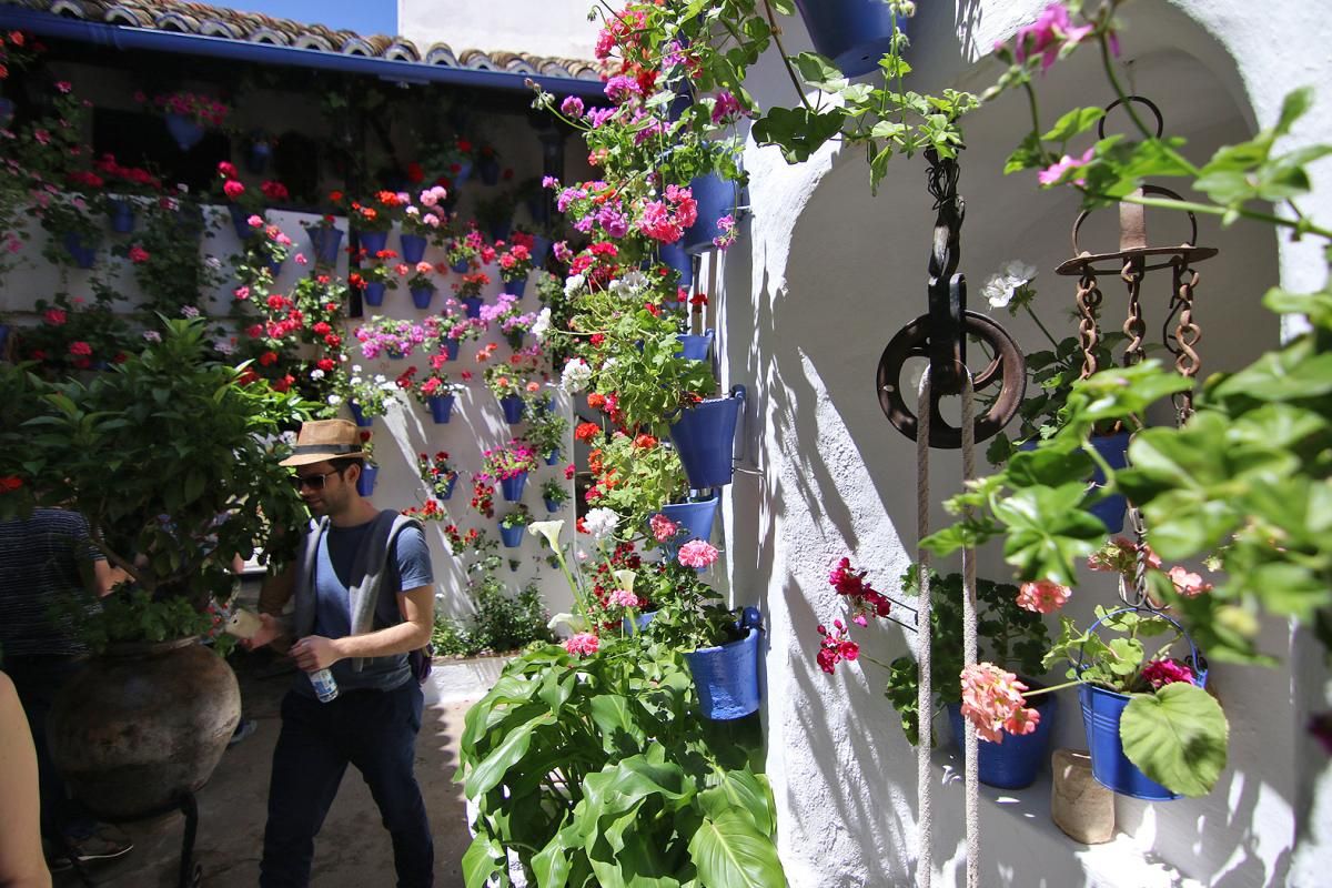 Fotogalería / Empieza el Concurso de Patios Cordobeses