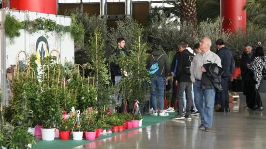 La inauguración de Viveralia en IFA, ayer por la mañana.