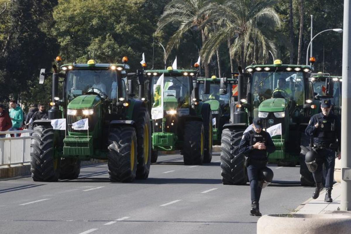 Agricultores se manifiestan en Sevilla.