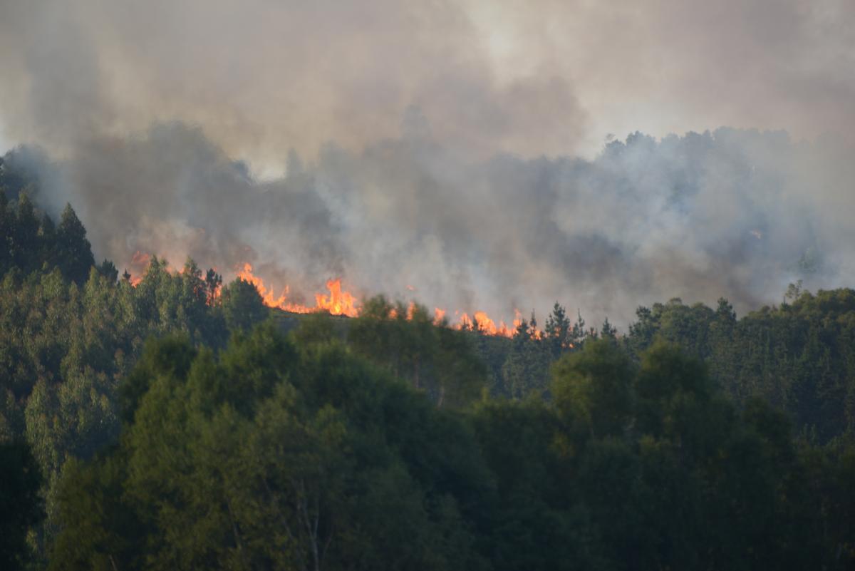 Incendio forestal este domingo en Belesar, en el concello lucense de Vilalba.