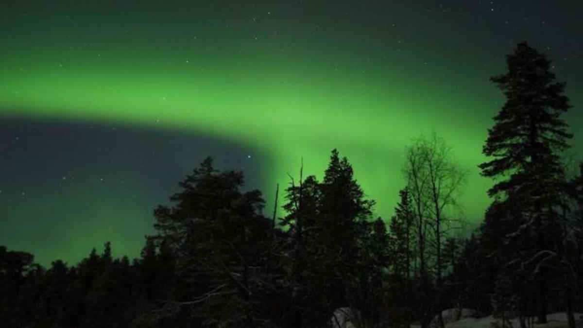 Un cielo nocturno con la aurora boreal visible detrás de las siluetas de los árboles. El fenómeno fue registrado en Inari (Tirro), Finlandia.