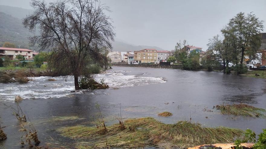 Así iba el río Jerte en Navaconcejo cuando se mandó la alerta por inundaciones