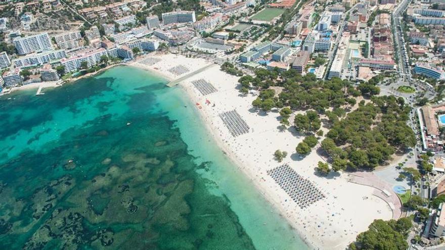 Calvià y el Consell optan a la herencia de una vecina británica fallecida en Santa Ponça sin testamento conocido