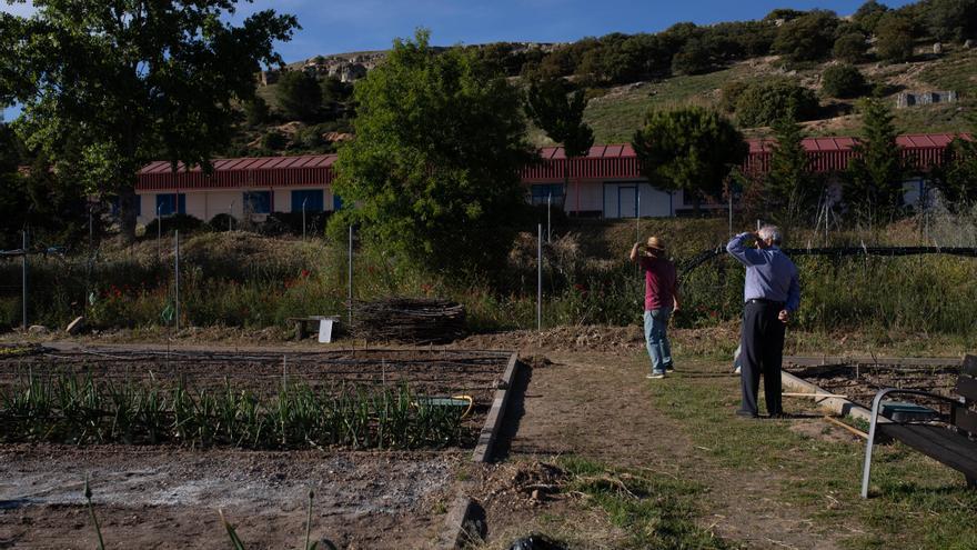 Así son los &quot;huertos de ocio&quot; municipales en Zamora: «Cultivando comunidad entre tomates, cebollas y pimientos»