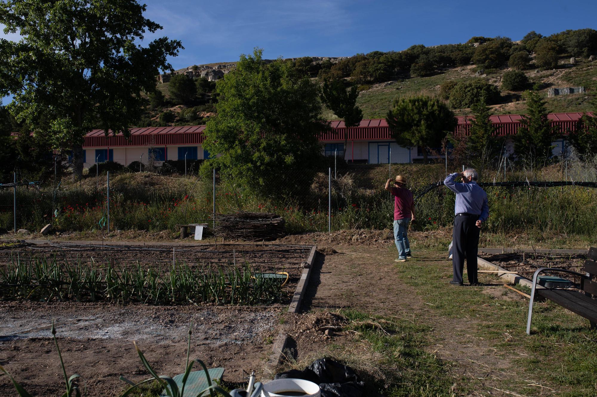 GALERÍA | Huertos municipales en Zamora: Creando comunidad entre tomates y cebollas