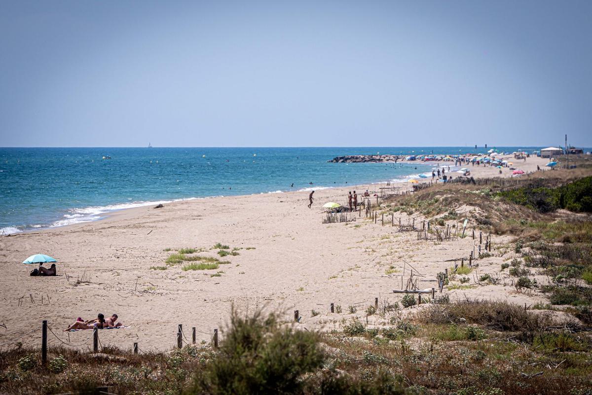 Vista desde la Torre Mirador de Cal Francès de la desembocadura de la riera de Sant Climent y la playa de Viladecans, en el delta del Llobregat, donde está previsto aplicar crecidas controladas inspiradas en el modelo del río Ebro para favorecer el aporte de sedimentos en la desembocadura. A 5 de agosto de 2026. Sociedad. AUTOR: MANU MITRU