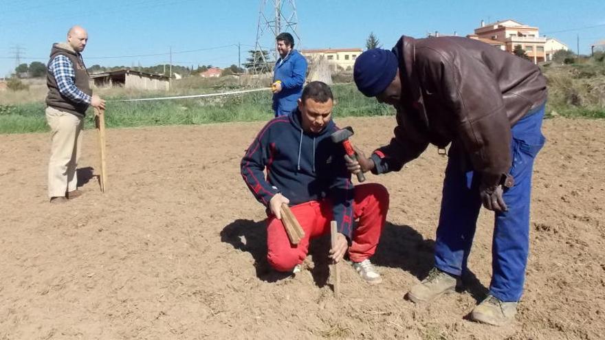 Inici del projecte d&#039;horts de Càritas