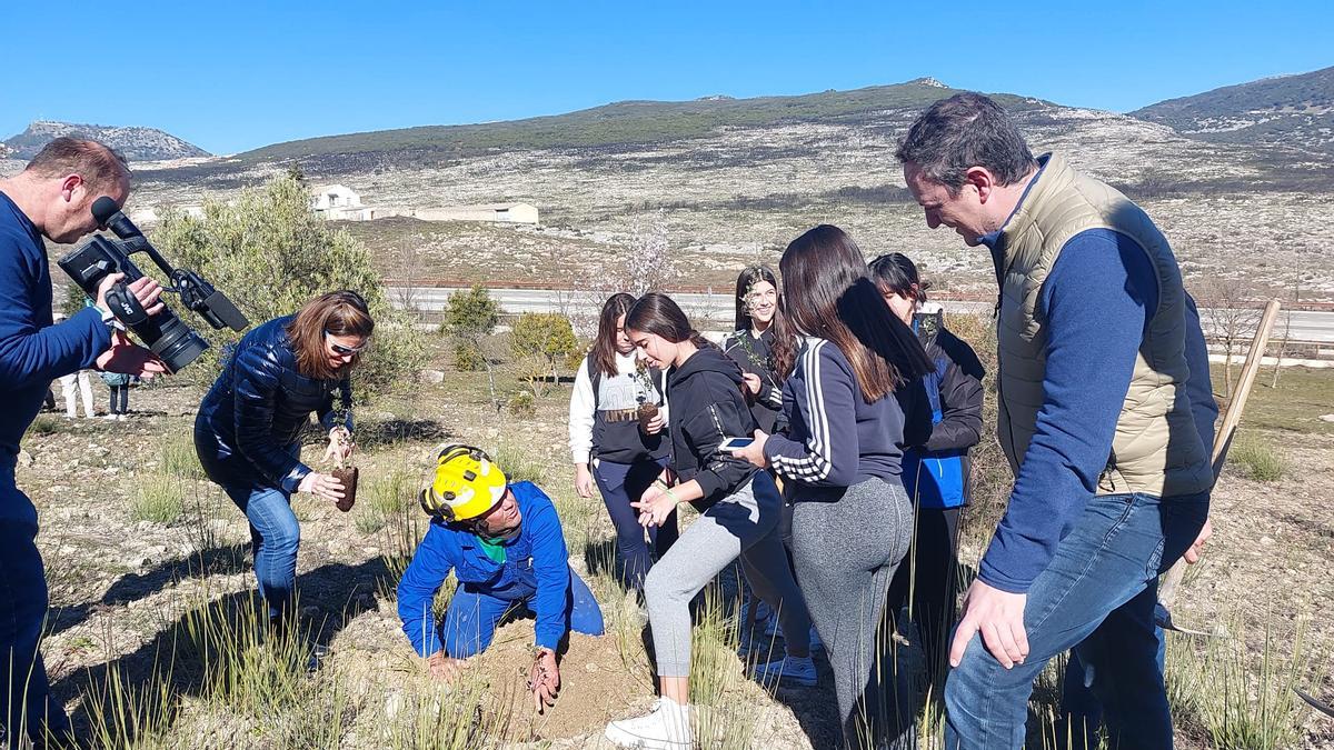 Los escolares lucentinos atienden las indicaciones para la reforestación en el monte Santa Rita.