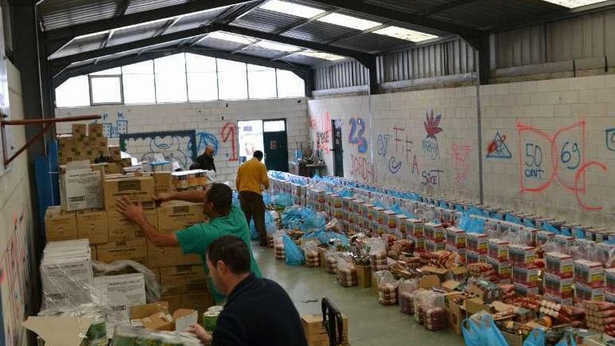 Los lotes fueron preparados en el pabellón del antiguo Rivero.