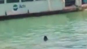 Imagen del inmigrante gambiano que murió en aguas del canal de Venecia, en uno de los vídeos que circula por YouTube.