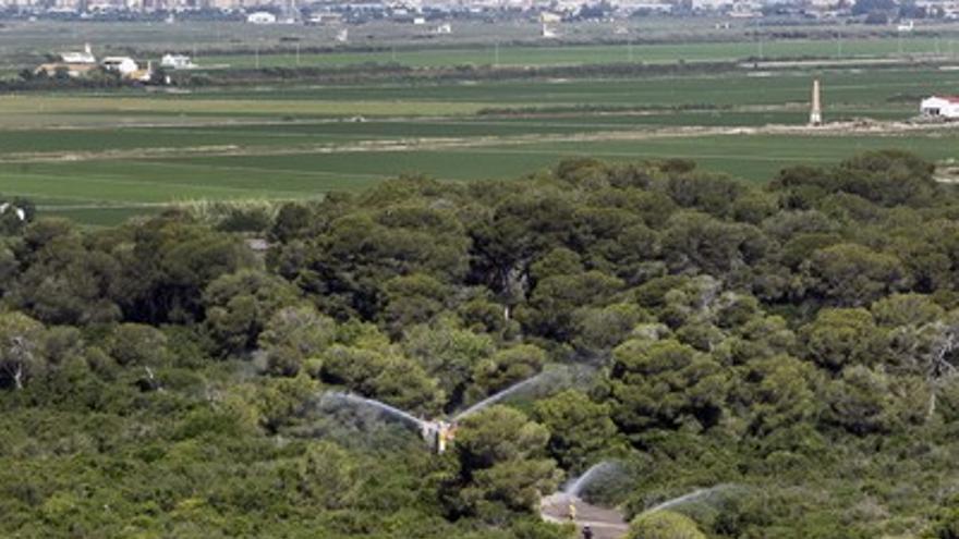 La Devesa es el principal pulmón verde de la ciudad.