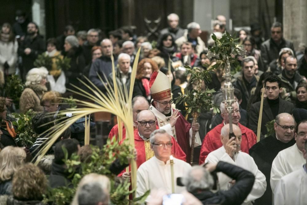 Domingo de Ramos en Oviedo