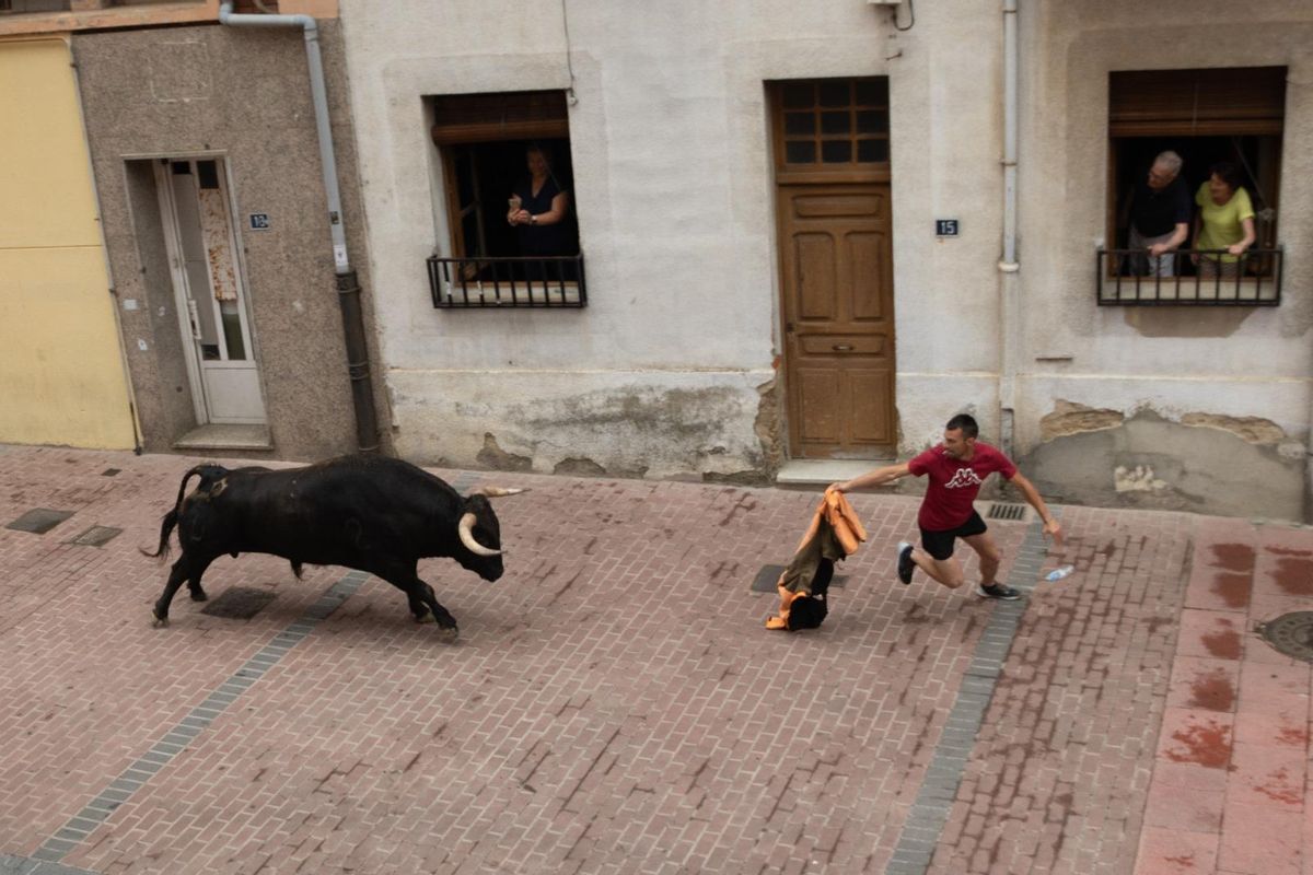 Toro del cajón de Charamandanga.
