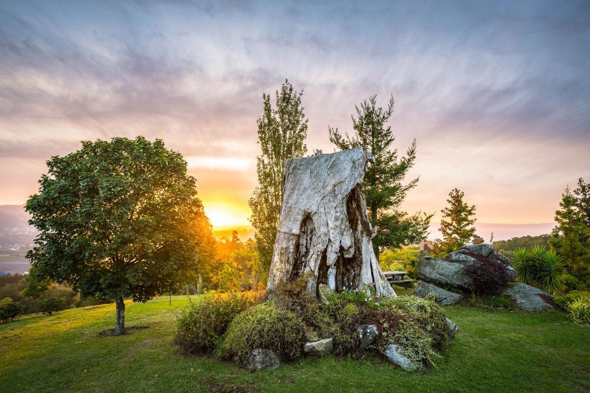 Vista del jardín del Pazo de Rubianes.
