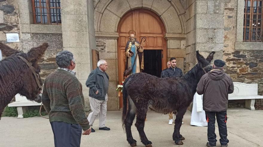 A la izquierda, subasta de un gallo pedrés a las puertas de la iglesia de Domez. A la derecha, otro momento de la subasta popular y bendición de los perros. | Ch. S.