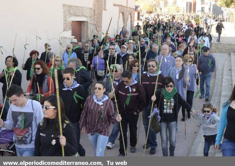 GALERÍA DE FOTOS - Romería Magdalena 2014 (3)