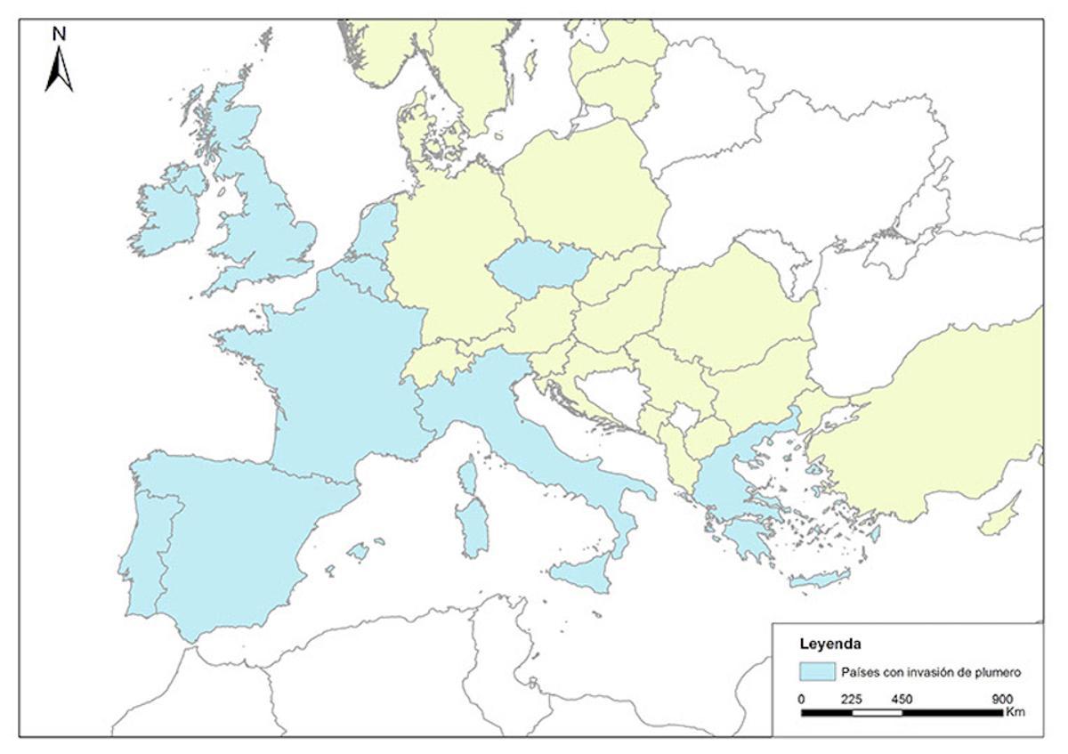 ¿Cómo frenar el plumero de la Pampa que invade España?