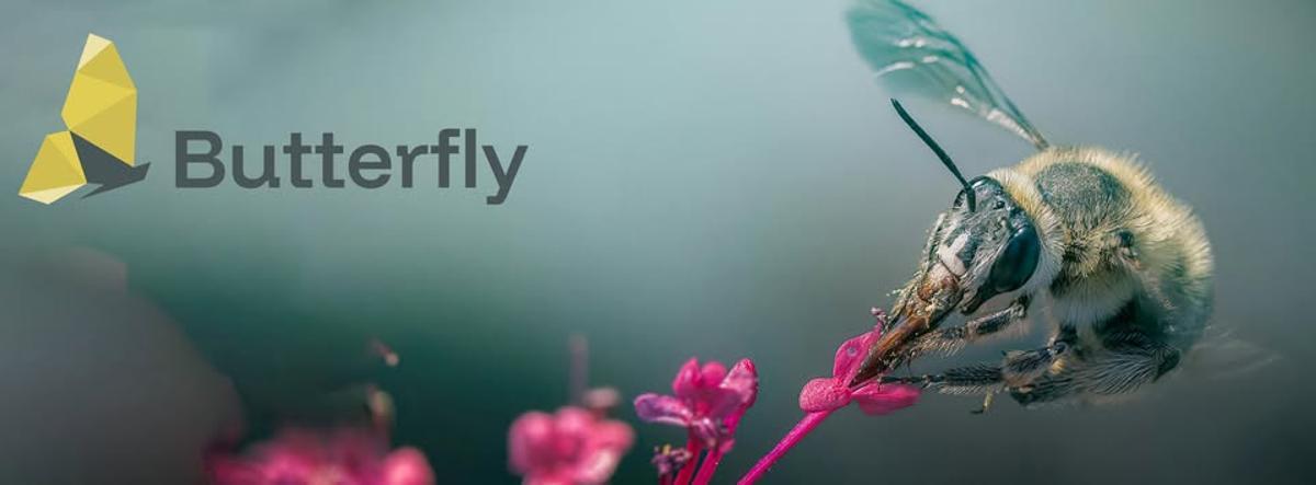 Imagen recurso BUTTERFLY