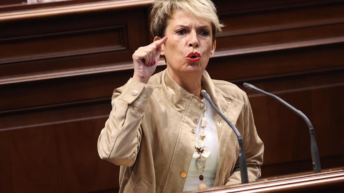La socialista Elena Mánez, en su intervención de este miércoles