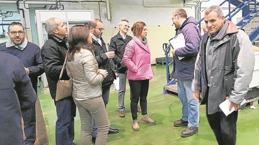 La alcaldesa visita Mercacórdoba para felicitar la Navidad a los mayoristas