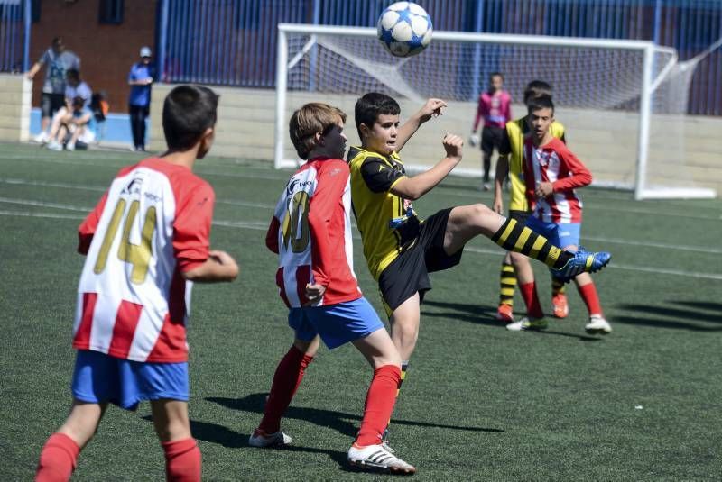 FÚTBOL: Tauste A - Teruel A (Alevín)