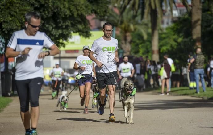 16/12/2018 LAS PALMAS DE GRAN CANARIA. Carrera ...